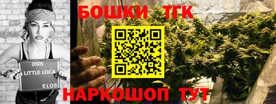 мдпв Владивосток