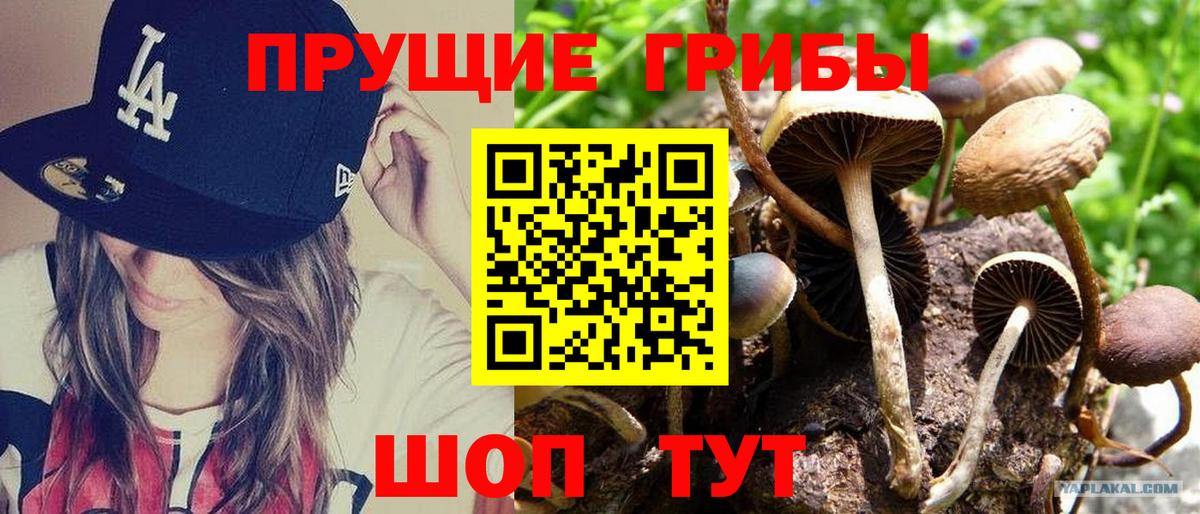 Галлюциногенные грибы ЛСД  Вход с VPN  Кинель 